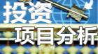 投资项目分析