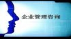 企业管理咨询（一）